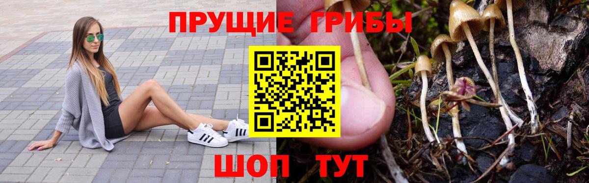 ЭКСТАЗИ  Вход с VPN  Канабис  Моздок  ГАШИШ  КОКАИН  МЕФ кристаллы 